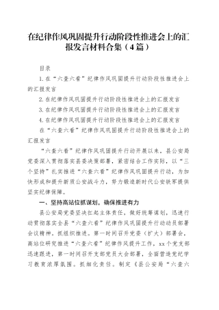 在纪律作风巩固提升行动阶段性推进会上的汇报发言材料合集（4篇）