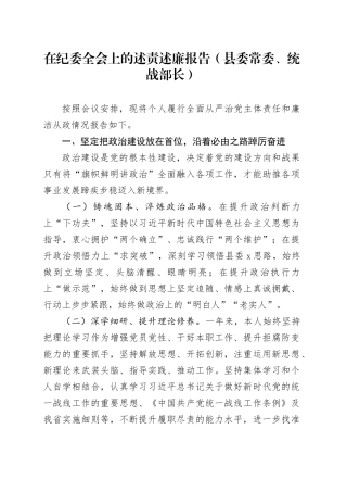 在纪委全会上的述责述廉报告（县委常委、统战部长）
