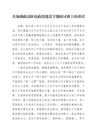 在加强政法队伍政治建设专题研讨班上的讲话
