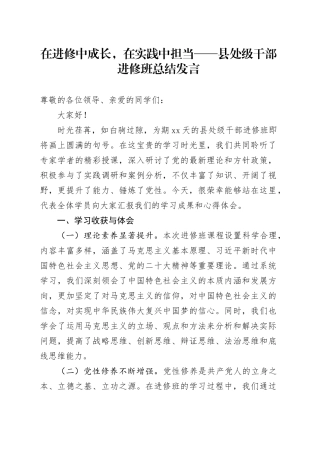 在进修中成长，在实践中担当——县处级干部进修班总结发言