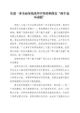 在进一步全面深化改革中坚持和落实“两个毫不动摇”