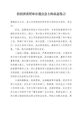 在经济责任审计进点会上的表态发言（集团公司）