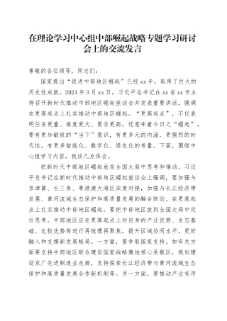 在理论学习中心组中部崛起战略专题学习研讨会上的交流发言