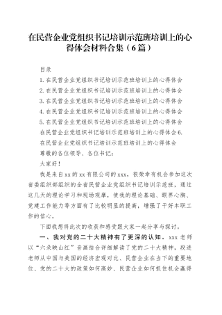 在民营企业党组织书记培训示范班培训上的心得体会材料合集（6篇）