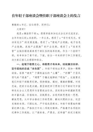 在年轻干部座谈会暨挂职干部座谈会上的发言