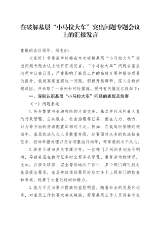 在破解基层 “小马拉大车” 突出问题专题会议上的汇报发言