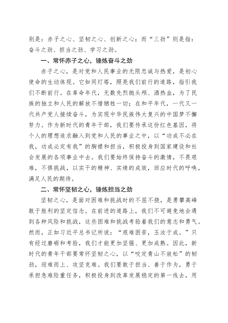 在青年干部座谈会上的交流发言：以“三心”铸魂，以“三劲”砺行，共绘青春奋斗蓝图_第2页