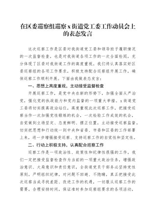 在区委巡察组巡察X街道党工委工作动员会上的表态发言