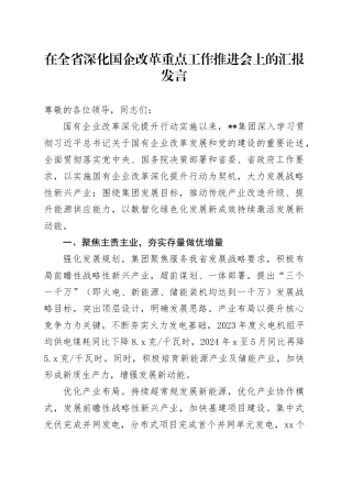 在全省深化国企改革重点工作推进会上的汇报发言