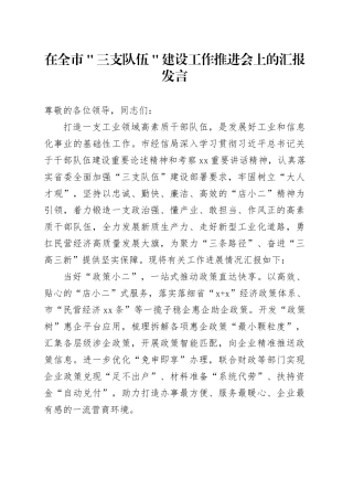 在全市＂三支队伍＂建设工作推进会上的汇报发言