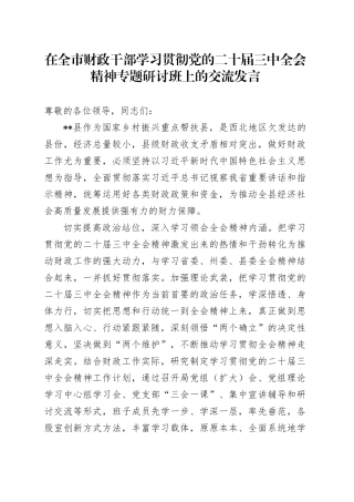 在全市财政干部学习贯彻党的二十届三中全会精神专题研讨班上的交流发言