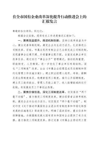 在全市国有企业改革深化提升行动推进会上的汇报发言