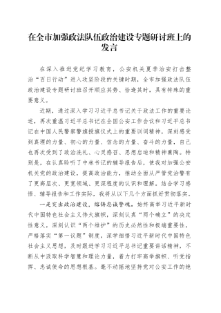 在全市加强政法队伍政治建设专题研讨班上的发言