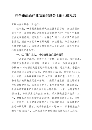在全市蔬菜产业发展推进会上的汇报发言
