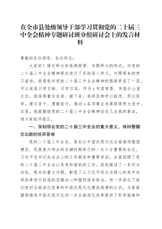 在全市县处级领导干部学习贯彻党的二十届三中全会精神专题研讨班分组研讨会上的发言材料