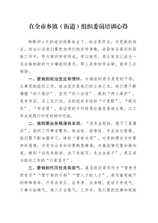 在全市乡镇街道（街道）组织委员培训心得