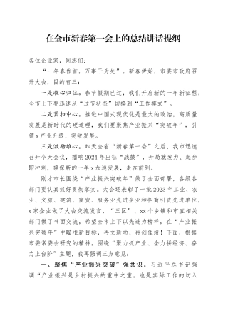 在全市新春第一会上的总结讲话提纲