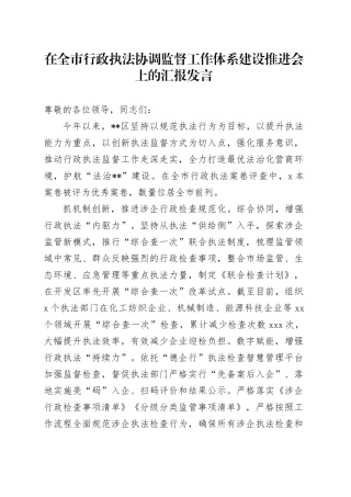 在全市行政执法协调监督工作体系建设推进会上的汇报发言