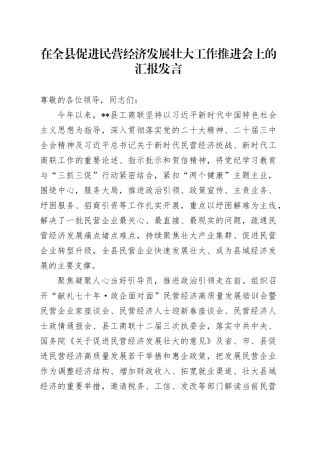 在全县促进民营经济发展壮大工作推进会上的汇报发言