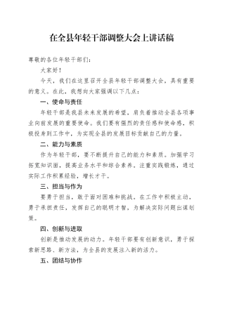 在全县年轻干部调整大会上讲话稿