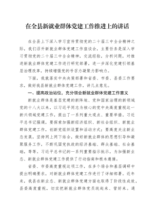 在全县新就业群体党建工作推进上的讲话