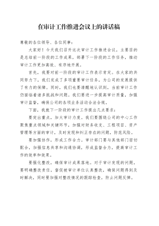 在审计工作推进会议上的讲话稿