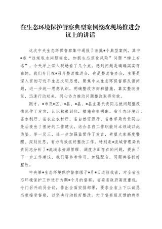 在生态环境保护督察典型案例整改现场推进会议上的讲话