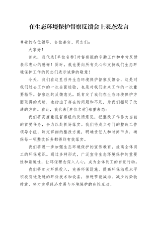 在生态环境保护督察反馈会上表态发言