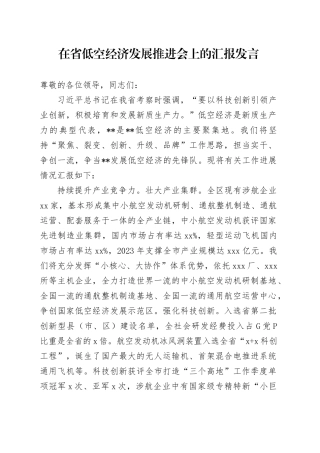在省低空经济发展推进会上的汇报发言
