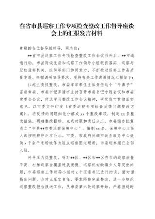 在省市县巡察工作专项检查整改工作督导座谈会上的汇报发言材料