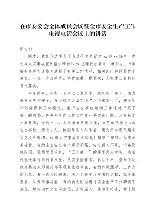 在市安委会全体成员会议暨全市安全生产工作电视电话会议上的讲话