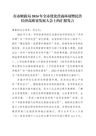 在市财政局2024年全市优化营商环境暨民营经济高质量发展大会上的汇报发言