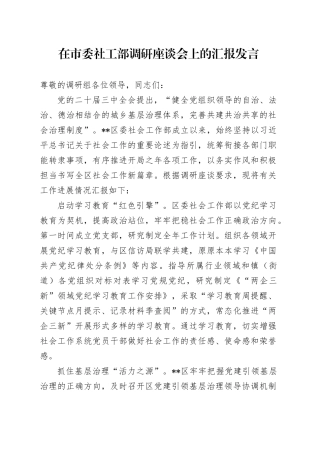 在市委社工部调研座谈会上的汇报发言