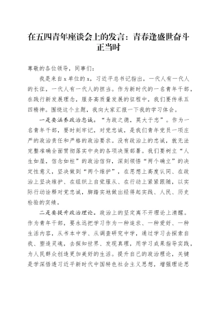 在五四青年座谈会上的发言：青春逢盛世 奋斗正当时