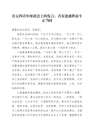 在五四青年座谈会上的发言：青春逢盛世奋斗正当时