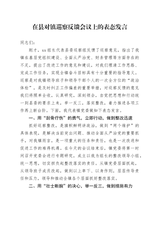 在县对镇巡察反馈会议上的表态发言