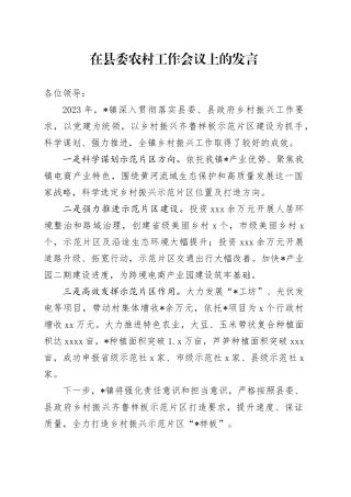 在县委农村工作会议上的发言