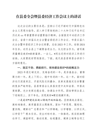 在县委全会暨县委经济工作会议上的讲话（2）