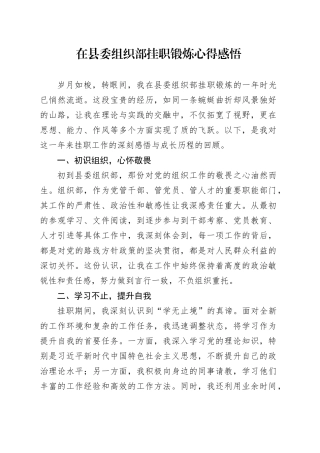在县委组织部挂职锻炼心得感悟