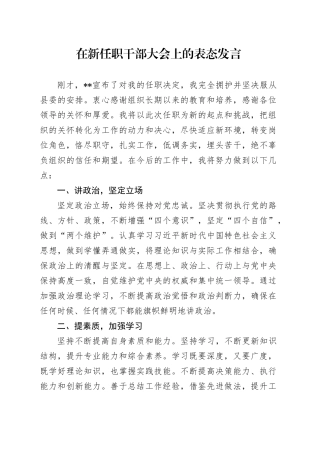 在新任职干部大会上的表态发言-2