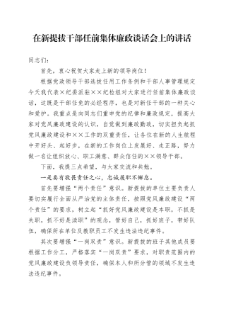 在新提拔干部任前集体廉政谈话会上的讲话