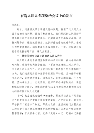 在选人用人专项整治会议上的发言