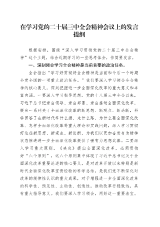 在学习党的二十届三中全会精神会议上的发言提纲