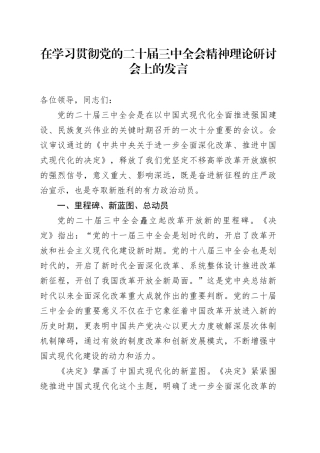 在学习贯彻党的二十届三中全会精神理论研讨会上的发言