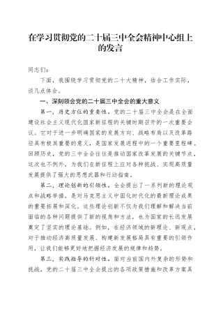 在学习贯彻党的二十届三中全会精神中心组上的发言