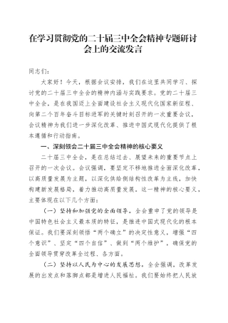 在学习贯彻党的二十届三中全会精神专题研讨会上的交流发言
