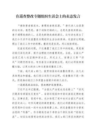 在巡查整改专题组织生活会上的表态发言