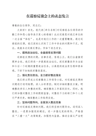 在巡察反馈会上的表态发言-2