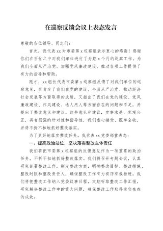 在巡察反馈会议上表态发言