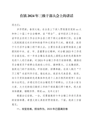 在镇2024年三级干部大会上的讲话